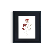 Bloom No:2