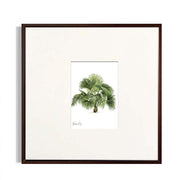 ''Palm'' No:2 Çerçeveli Tablo