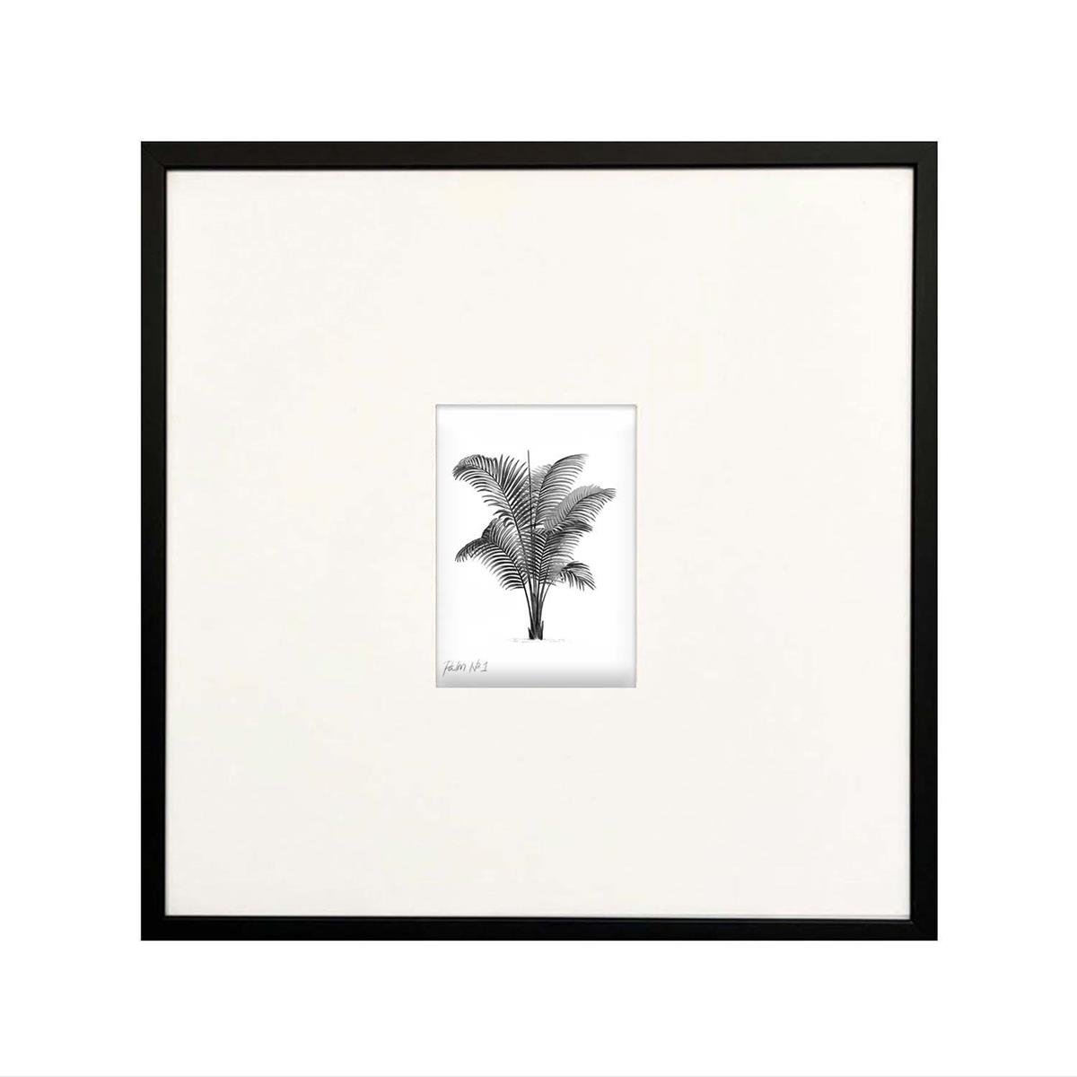 ''Palm'' No:3 Çerçeveli Tablo