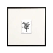 ''Palm'' No:3 Çerçeveli Tablo