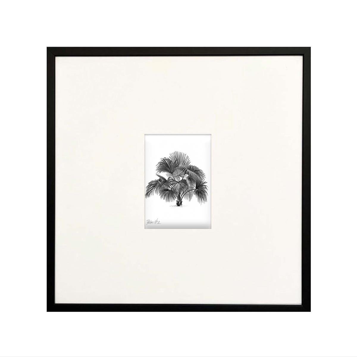 ''Palm'' No:4 Çerçeveli Tablo