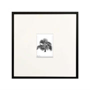 ''Palm'' No:4 Çerçeveli Tablo
